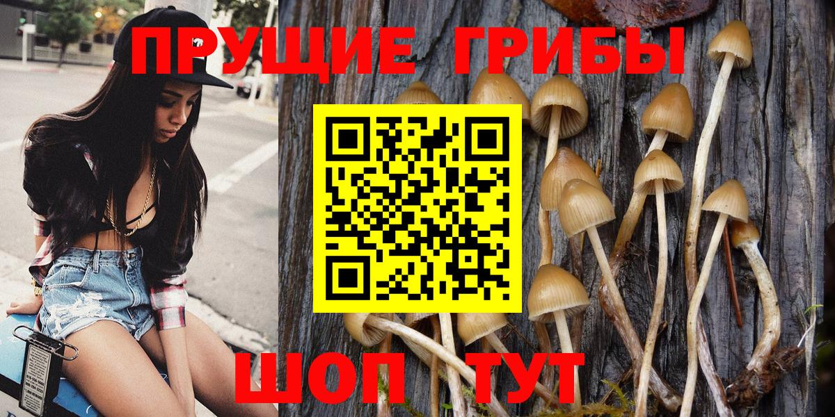 Котельники  Экстази  Магазины продажи наркотиков  КОКАИН  Вход с VPN  МАРИХУАНА  Гашиш  МДМА  Мефедрон  